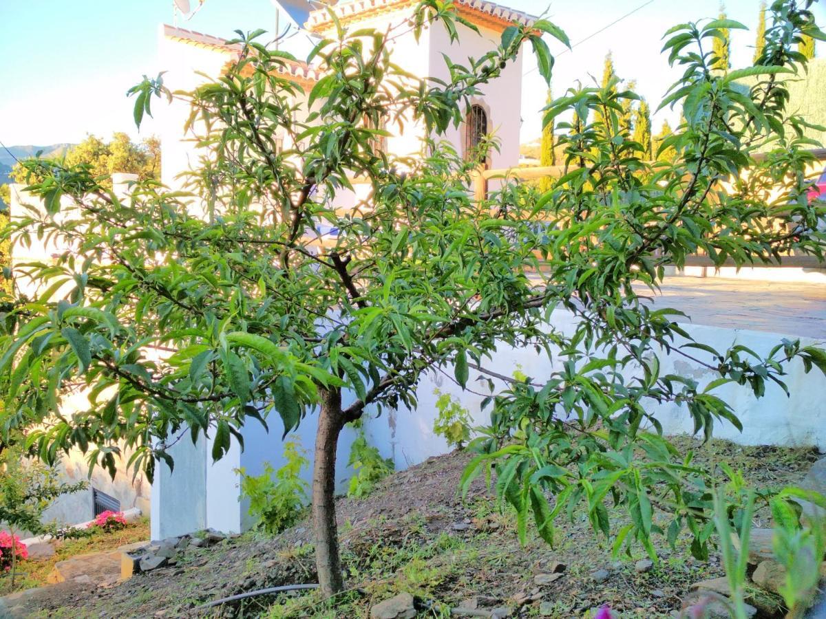 Villa Las Encinas Costa Del Sol Торрокс-Коста Экстерьер фото
