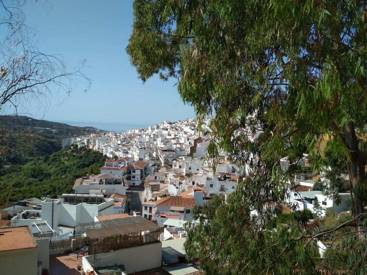 Villa Las Encinas Costa Del Sol Торрокс-Коста Экстерьер фото