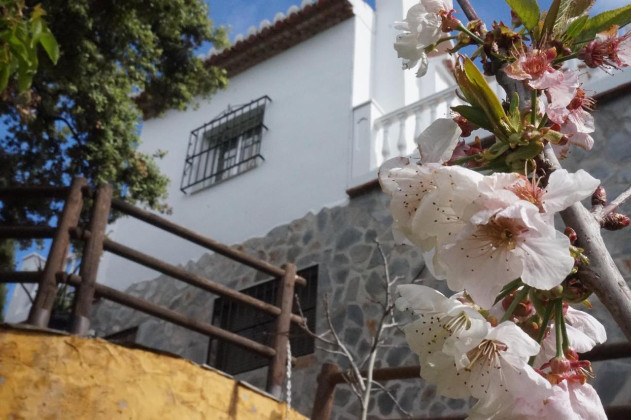 Villa Las Encinas Costa Del Sol Торрокс-Коста Экстерьер фото